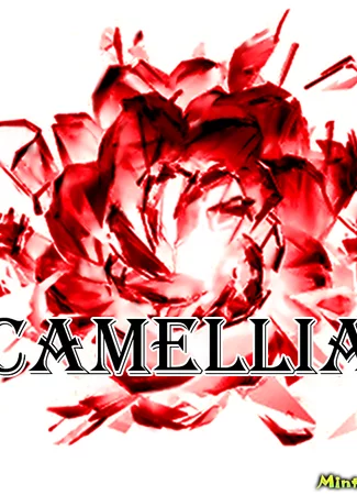 Переводчик Camellia 05.02.20